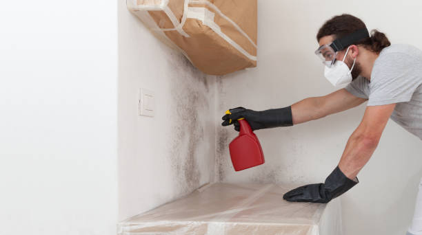 Professional Crawl Space Mold Remediation technician working in Arlington, NY